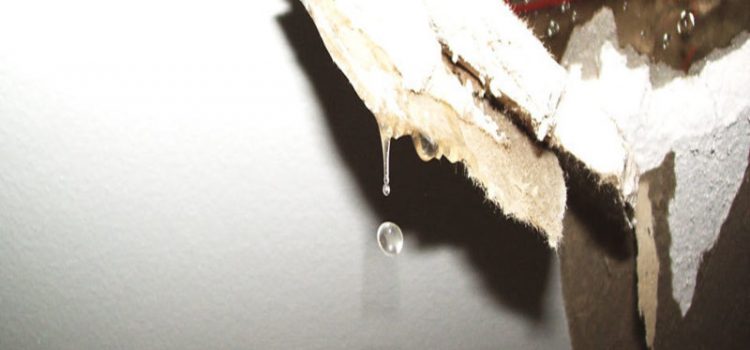 Get Your Home Back to Normal with Water Damage Restoration Service in Pocatello ID