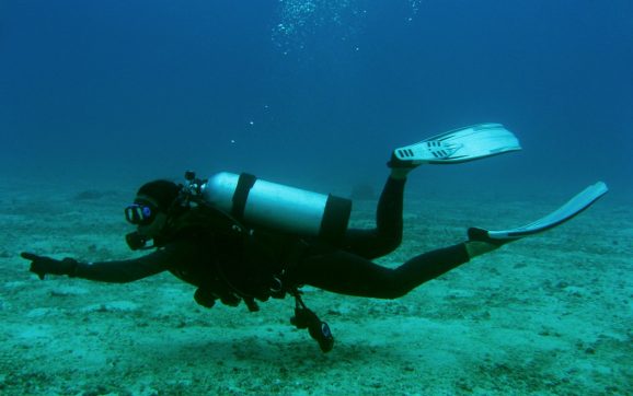 Enjoy an Unforgettable Maui Scuba Diving Experience