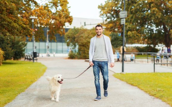 5 Reasons Only a Professional Dog Walker in NYC Will Do