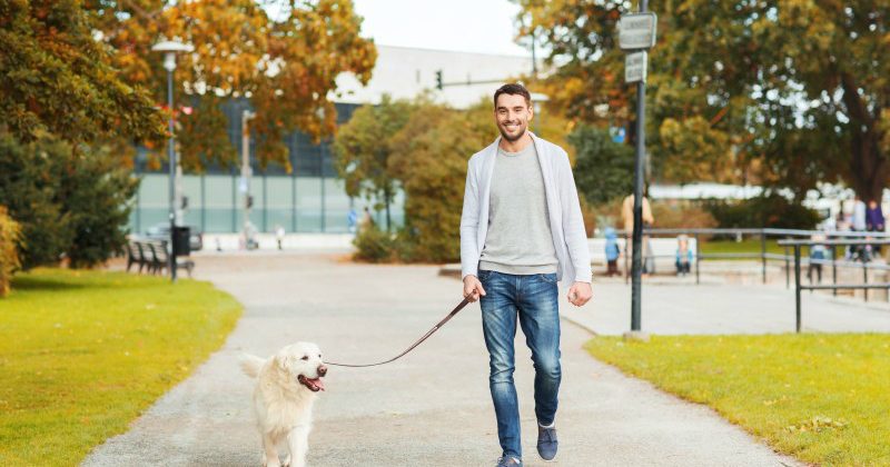 5 Reasons Only a Professional Dog Walker in NYC Will Do