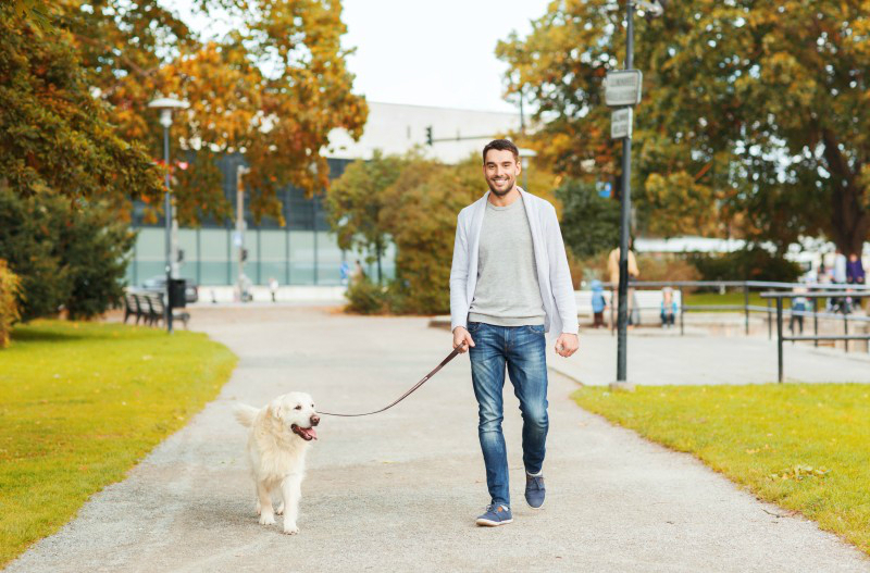 5 Reasons Only a Professional Dog Walker in NYC Will Do