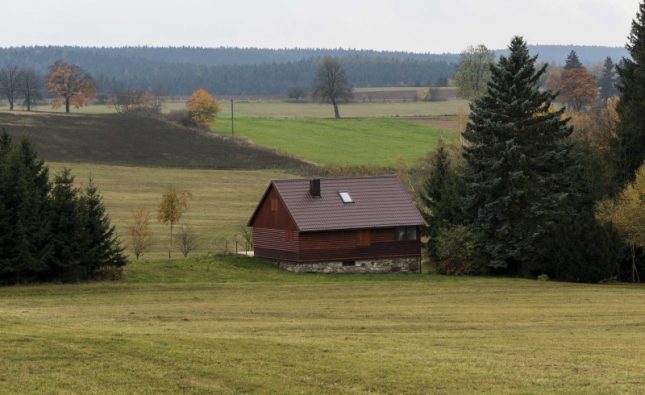 Discover How Pheasant Hunting Outfitters can Make Your Trip a Success