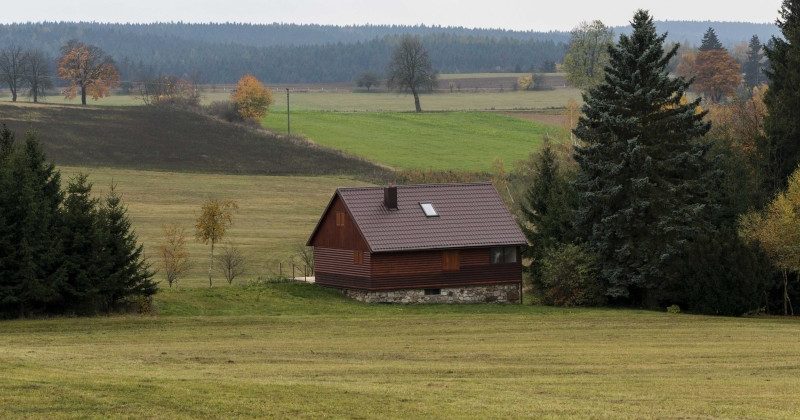 Discover How Pheasant Hunting Outfitters can Make Your Trip a Success