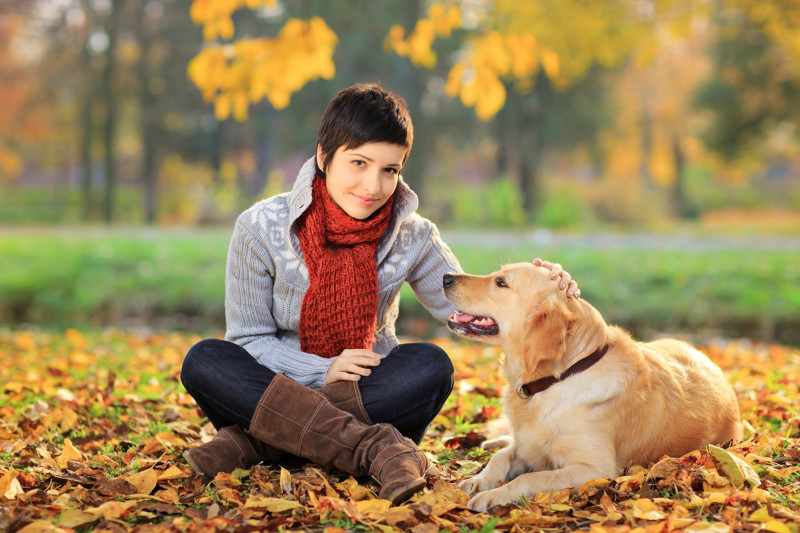 Important Questions to Ask When Hiring a Dog Sitter in Manhattan