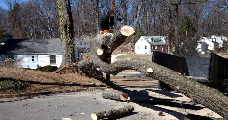 What to Expect from Professional Storm Damage Clean Up in South Bend, IN