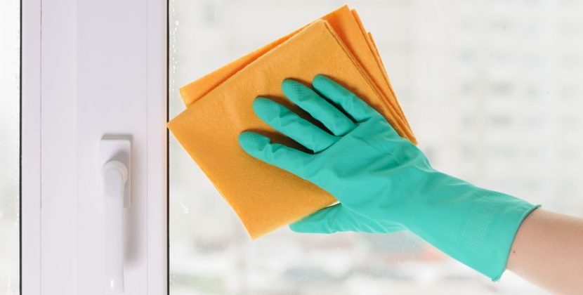 What to Look for in a Cleaning Company in Minneapolis
