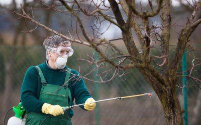 Maximize Lawn Productivity With a Fertilizer Spreader For UTV on Your Property