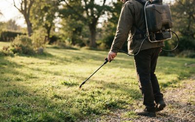 Battery Weed Sprayer Benefits, Limitations, and Maintenance Tips
